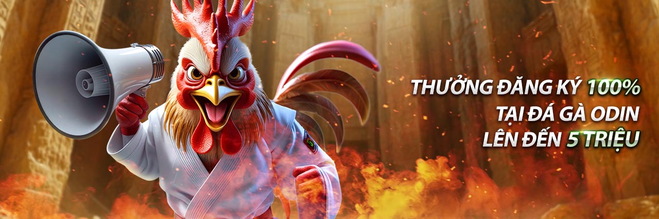 Hình ảnh mã hóa dữ liệu SSL tại jb88, đảm bảo an toàn thông tin cá nhân.