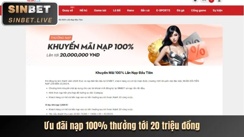 Hình ảnh tổng quan về Sinbet, nền tảng cá cược trực tuyến hàng đầu Việt Nam